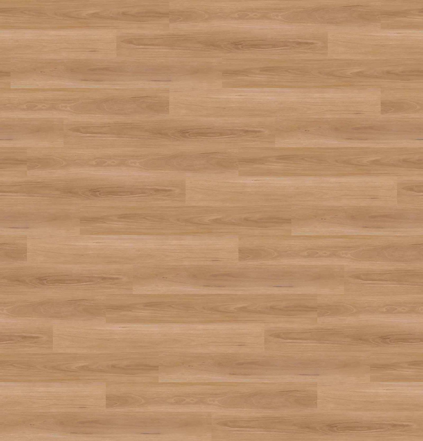 Blackbutt