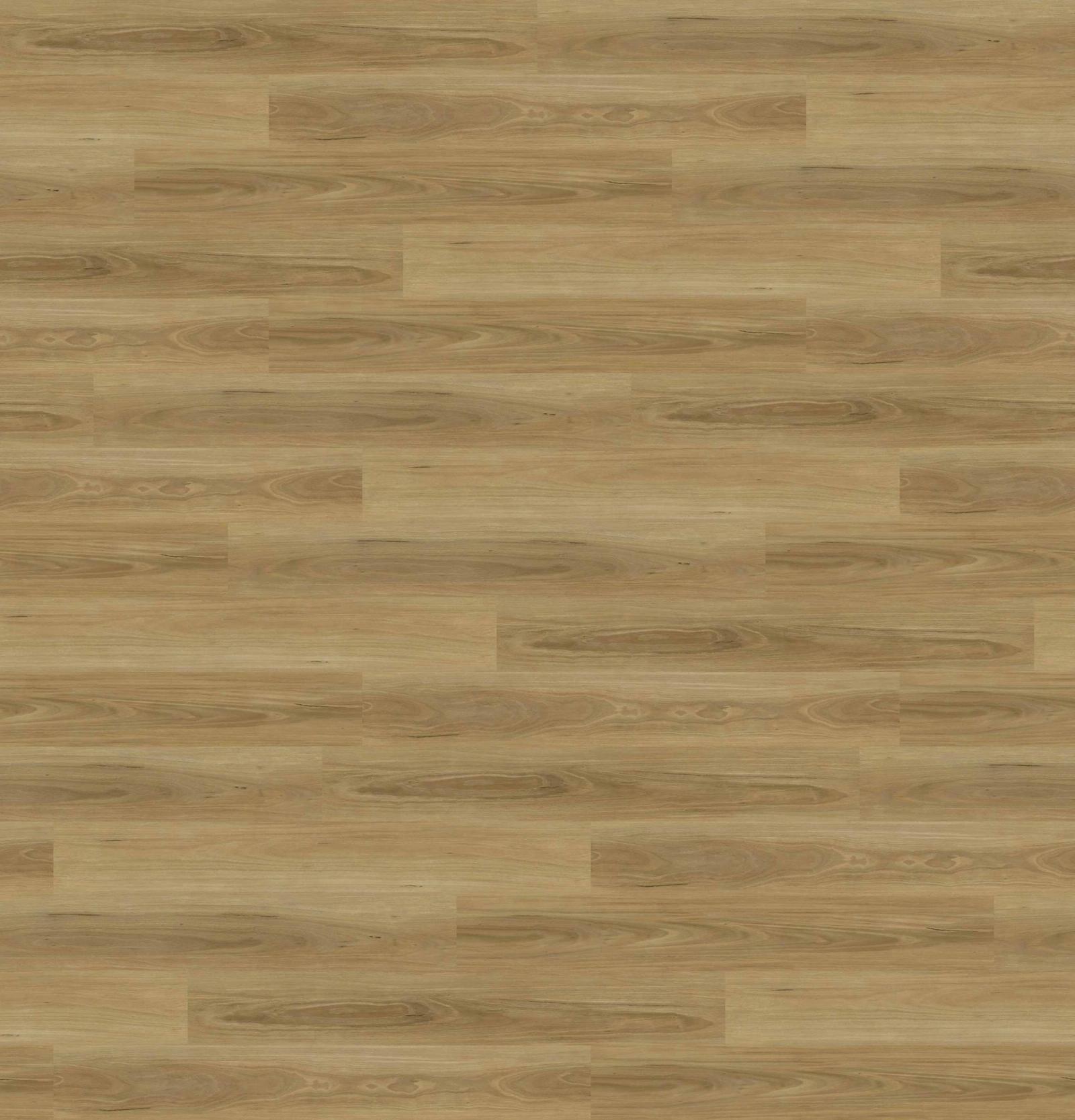 Native Blackbutt