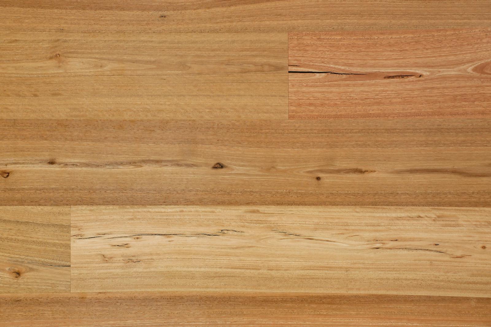 Spotted Gum Feature Brush Finish