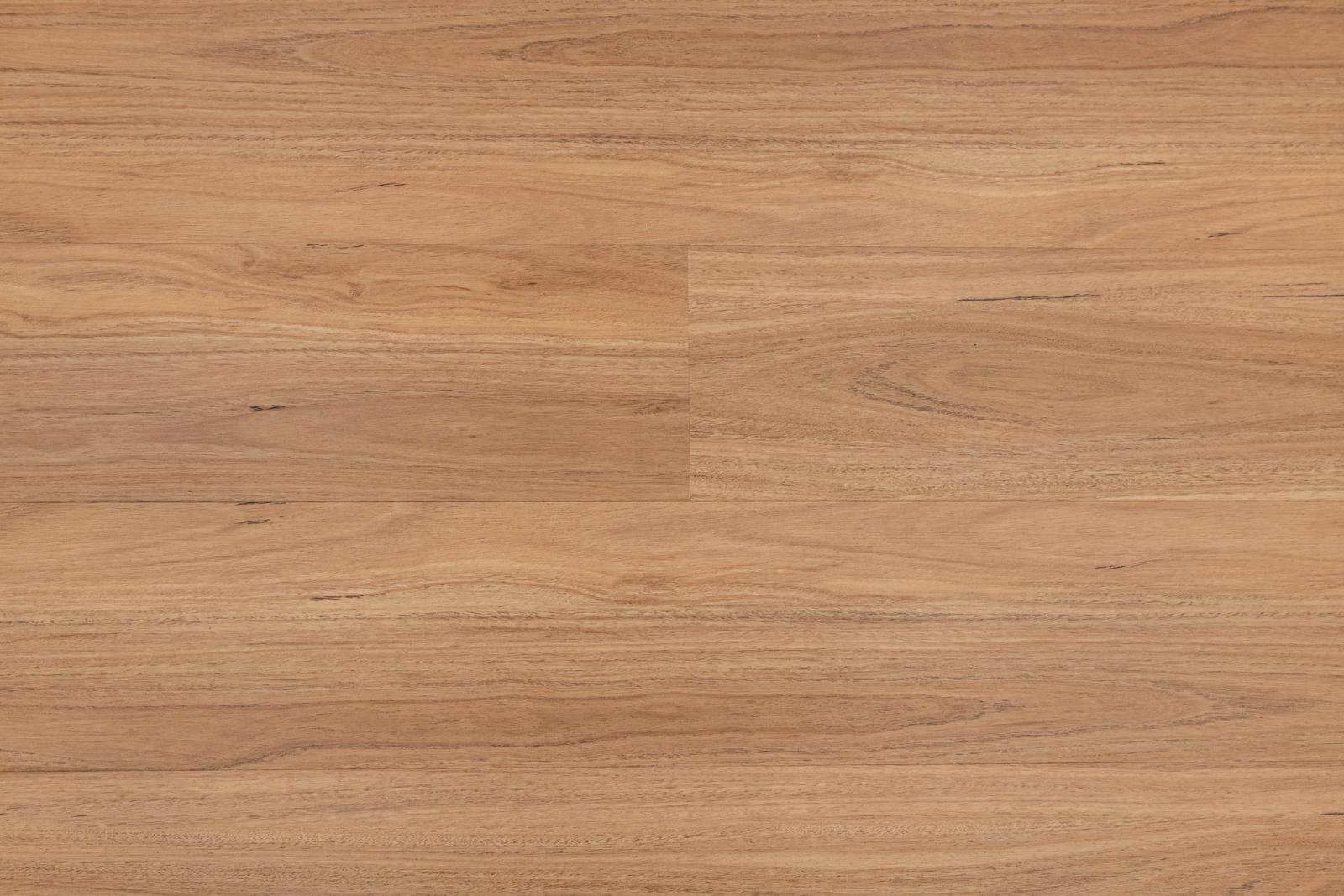 Blackbutt