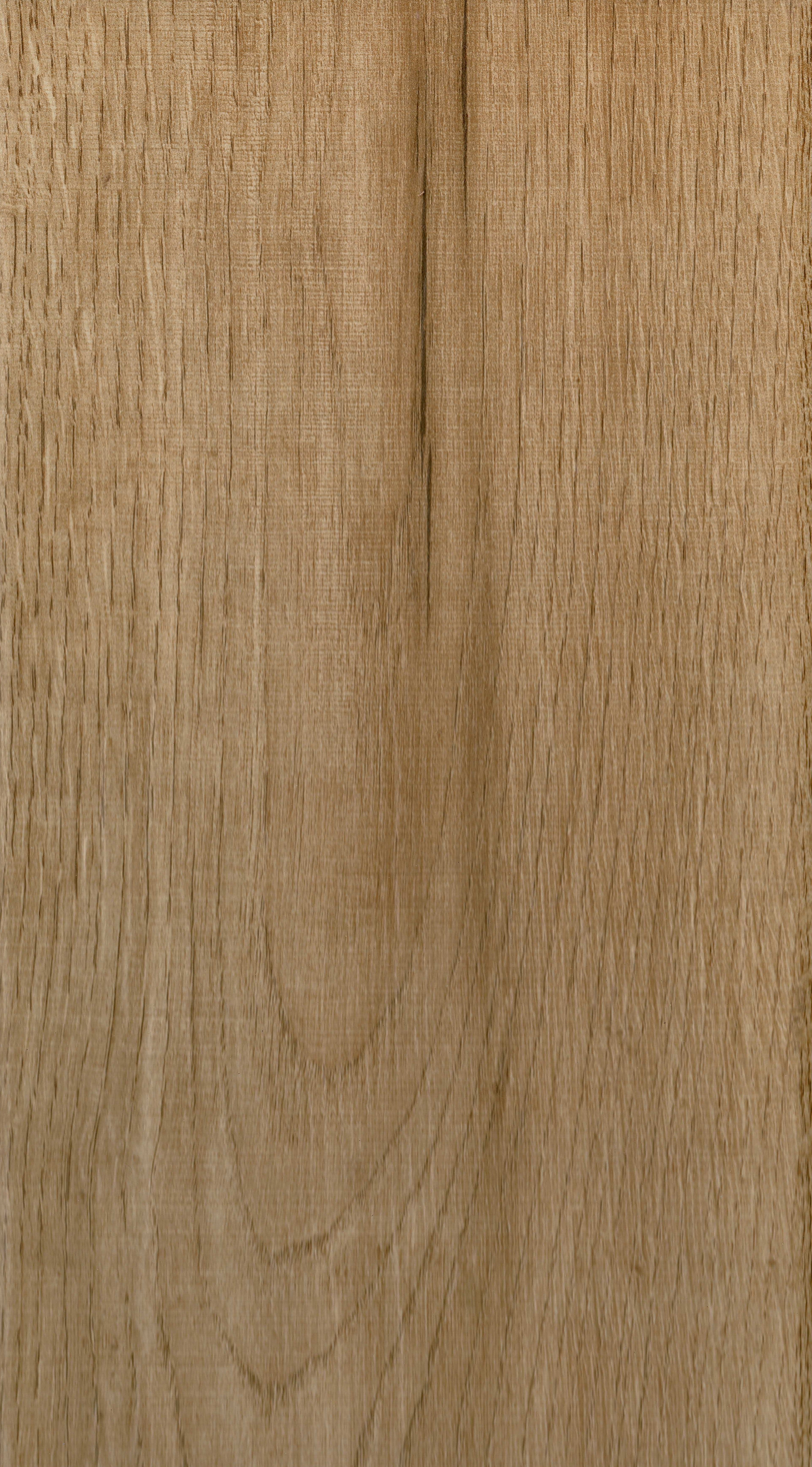 8mm Trendwood Champagne