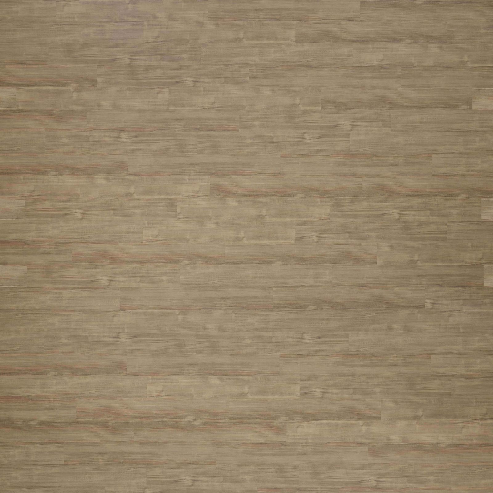 Limed Tallowwood