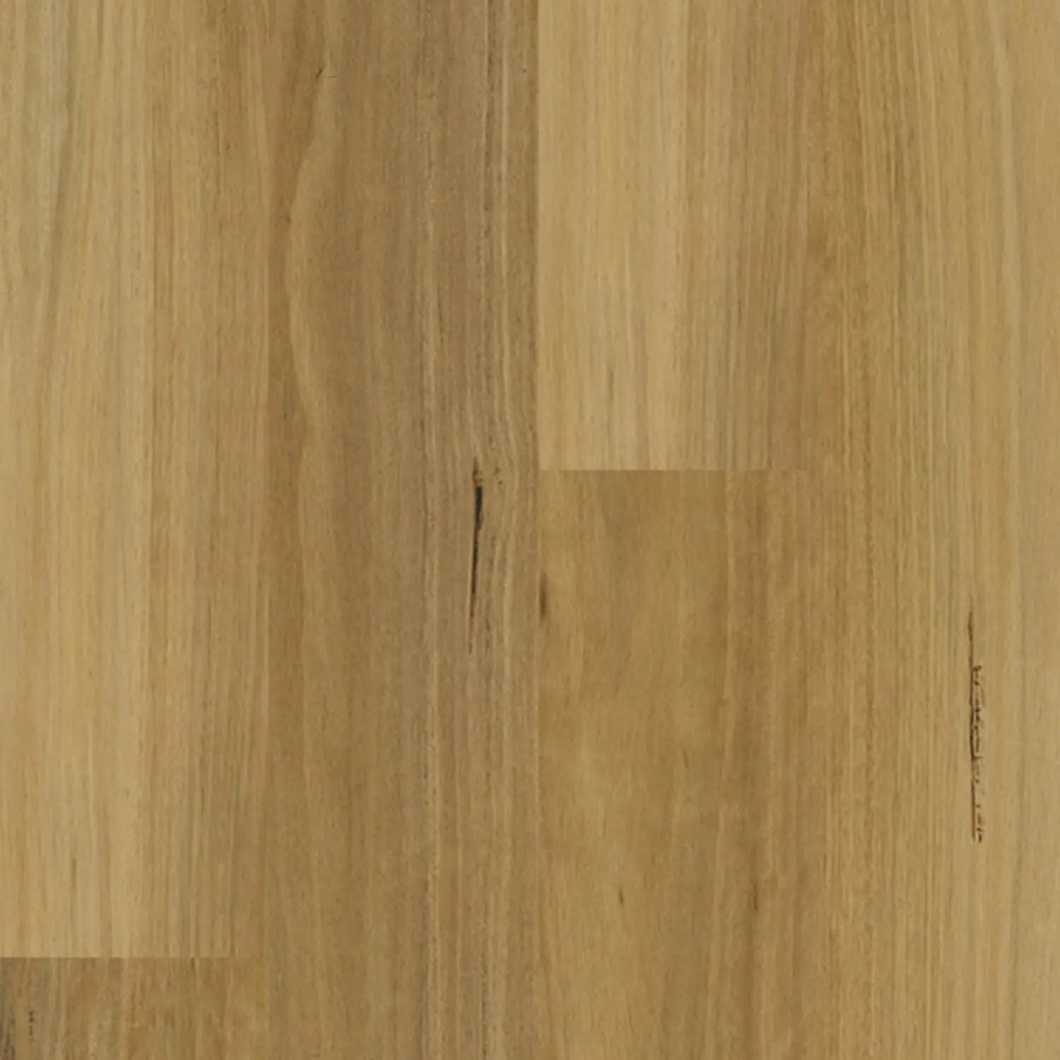 Apollo Hardwood Blackbutt Elegant