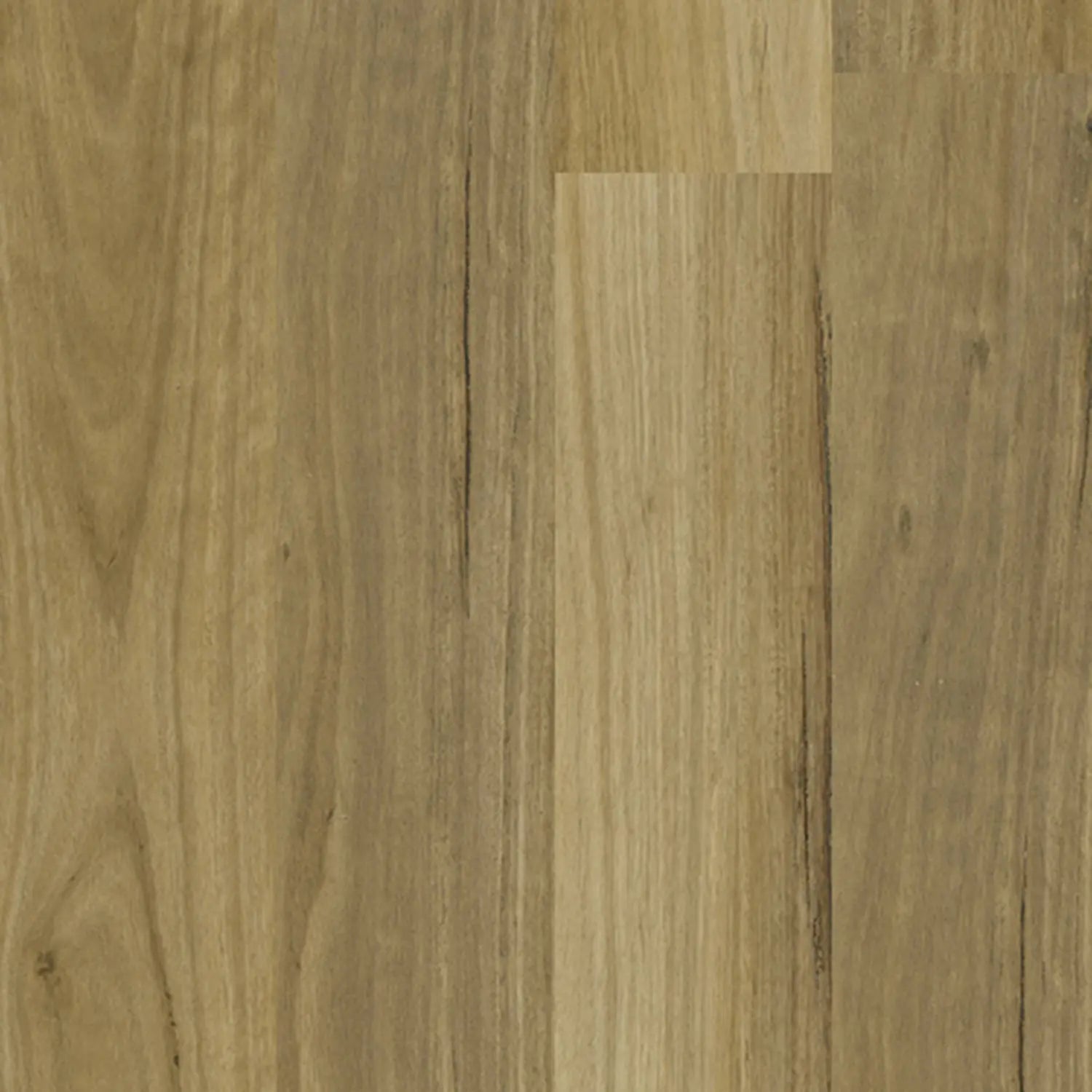 Apollo Hardwood Blackbutt Sandbank