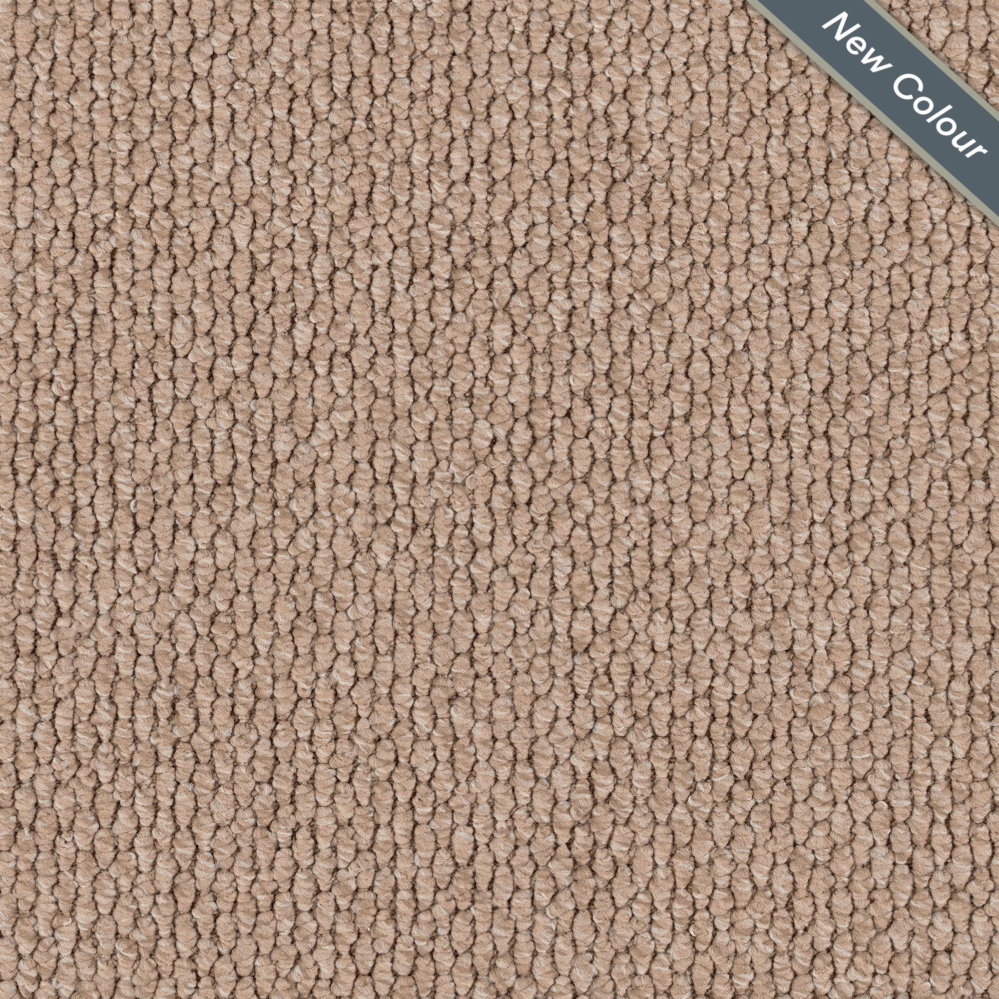 Ashlar Aire/EC Carpet