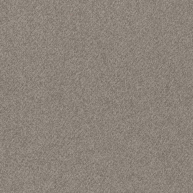 Birdwood Hannaford — EC Carpets