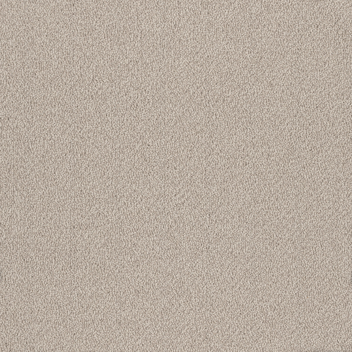 Birdwood Angas — EC Carpets