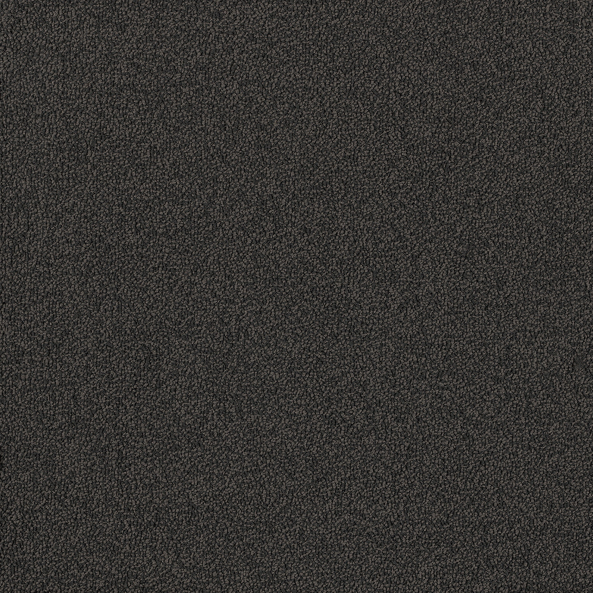 Birdwood Canham — EC Carpets