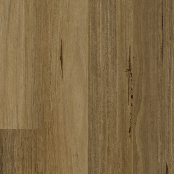 Godfrey Hirst Apollo Hardwood flooring colour Blackbutt Classic