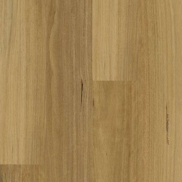Godfrey Hirst Apollo Hardwood flooring colour Blackbutt Elegant