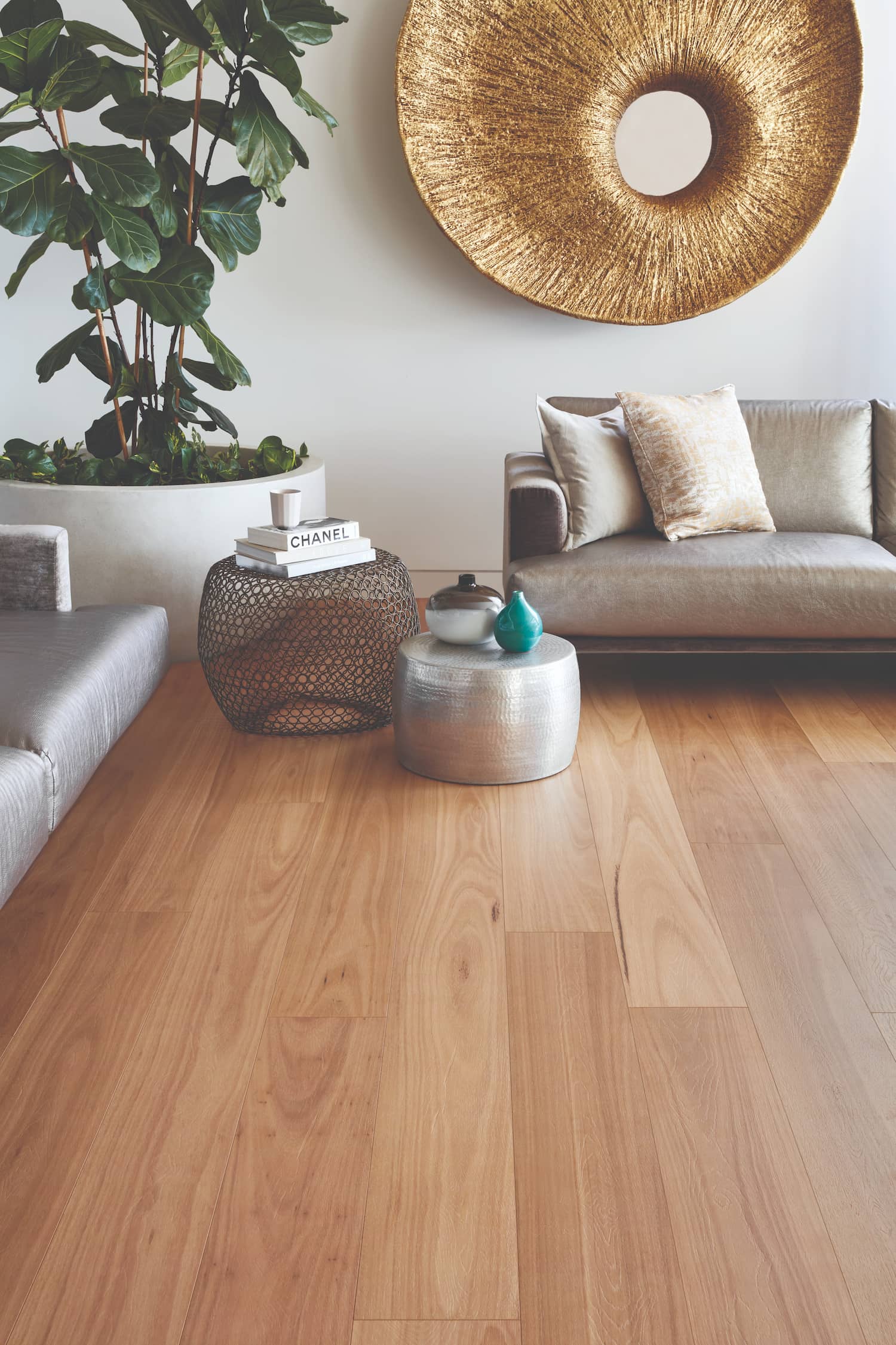 Blackbutt
