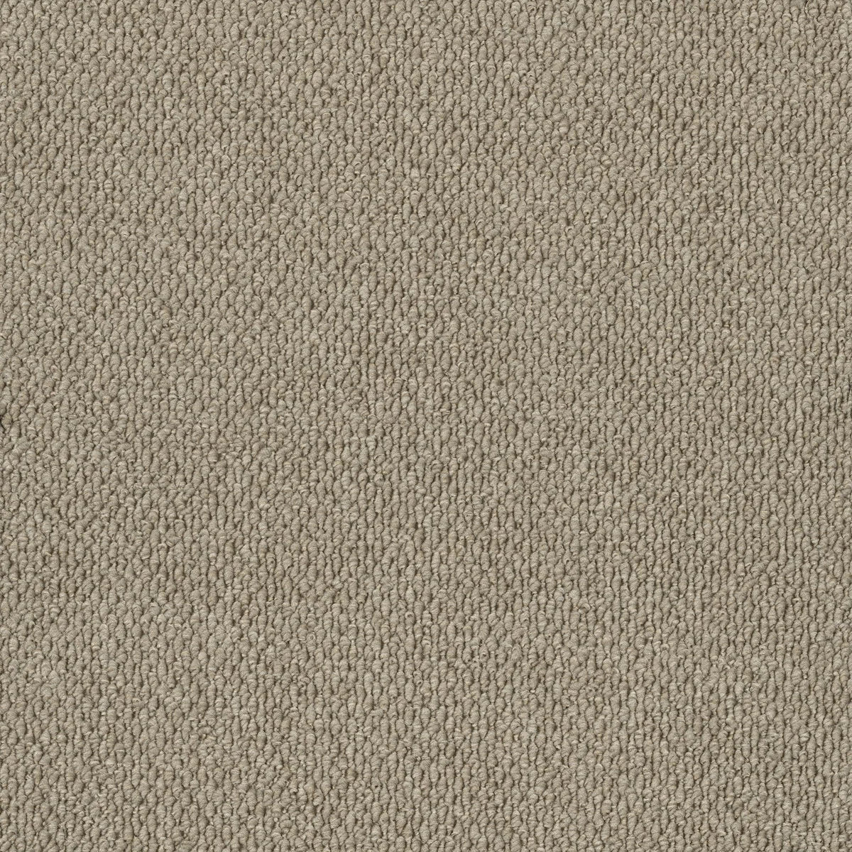 Summit Point/ EC Carpet