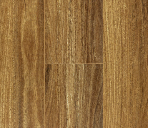 HD701 NSW Spotted Gum