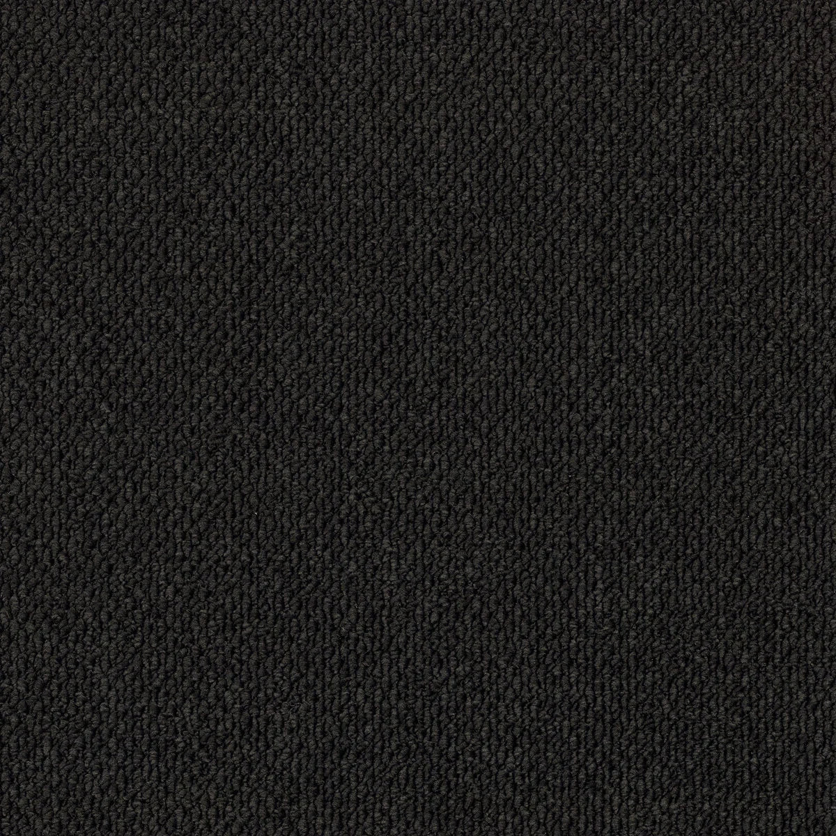 Summit Point/ EC Carpet