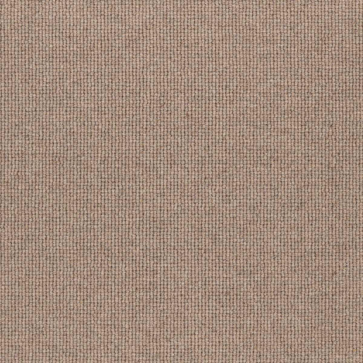 Lourve Pollock — 100% New Zealand wool carpet