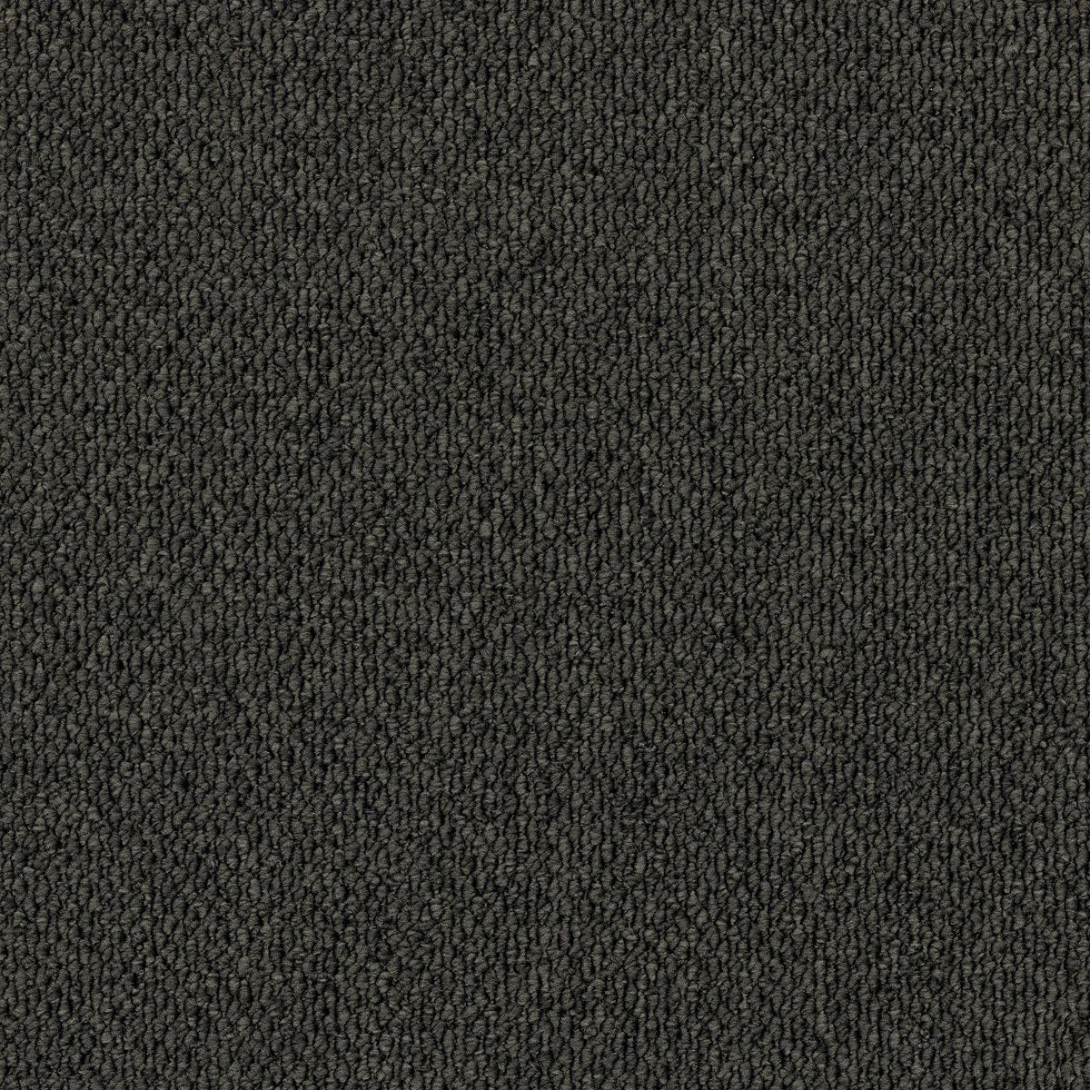 Summit Point/ EC Carpet