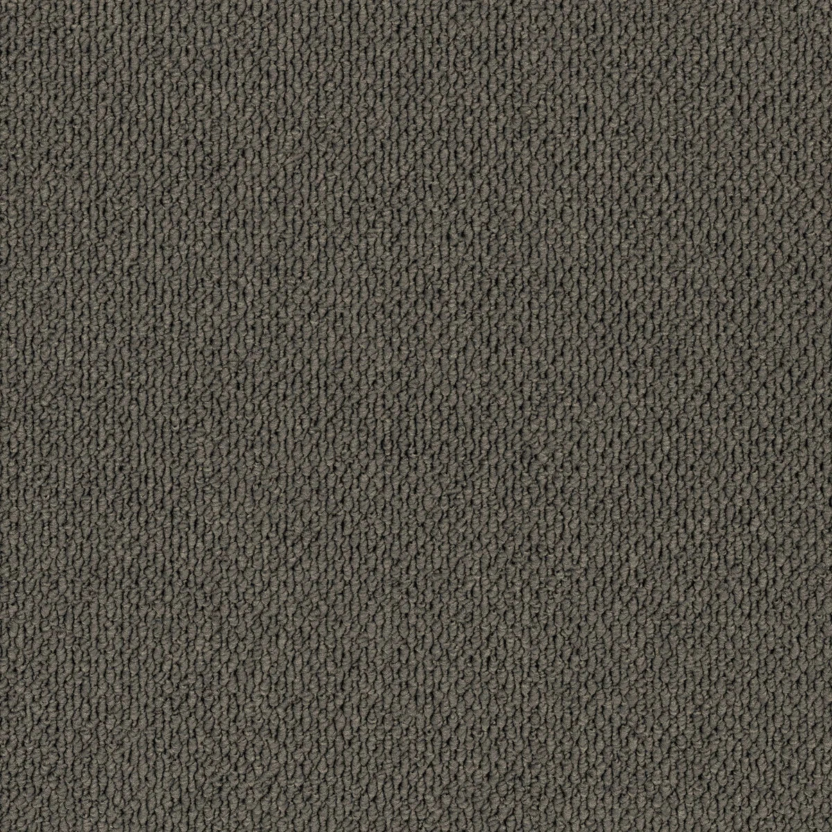 Summit Point/ EC Carpet