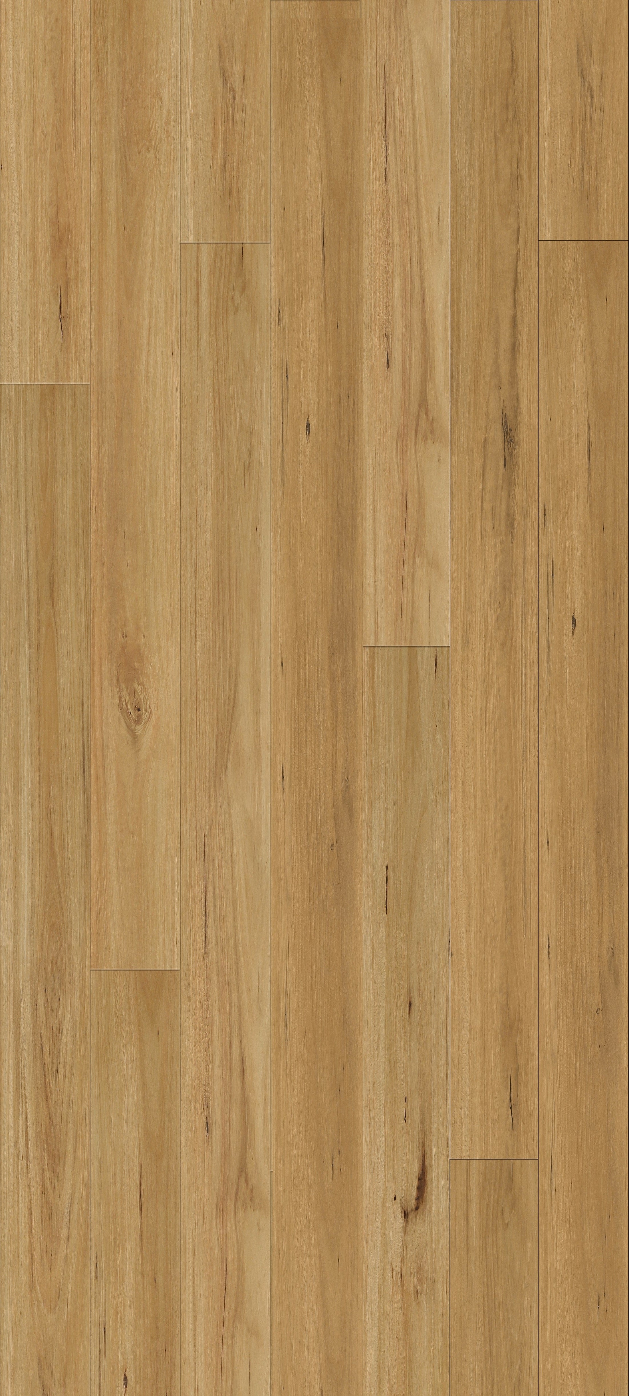 Armstrong Queenstown Blackbutt
