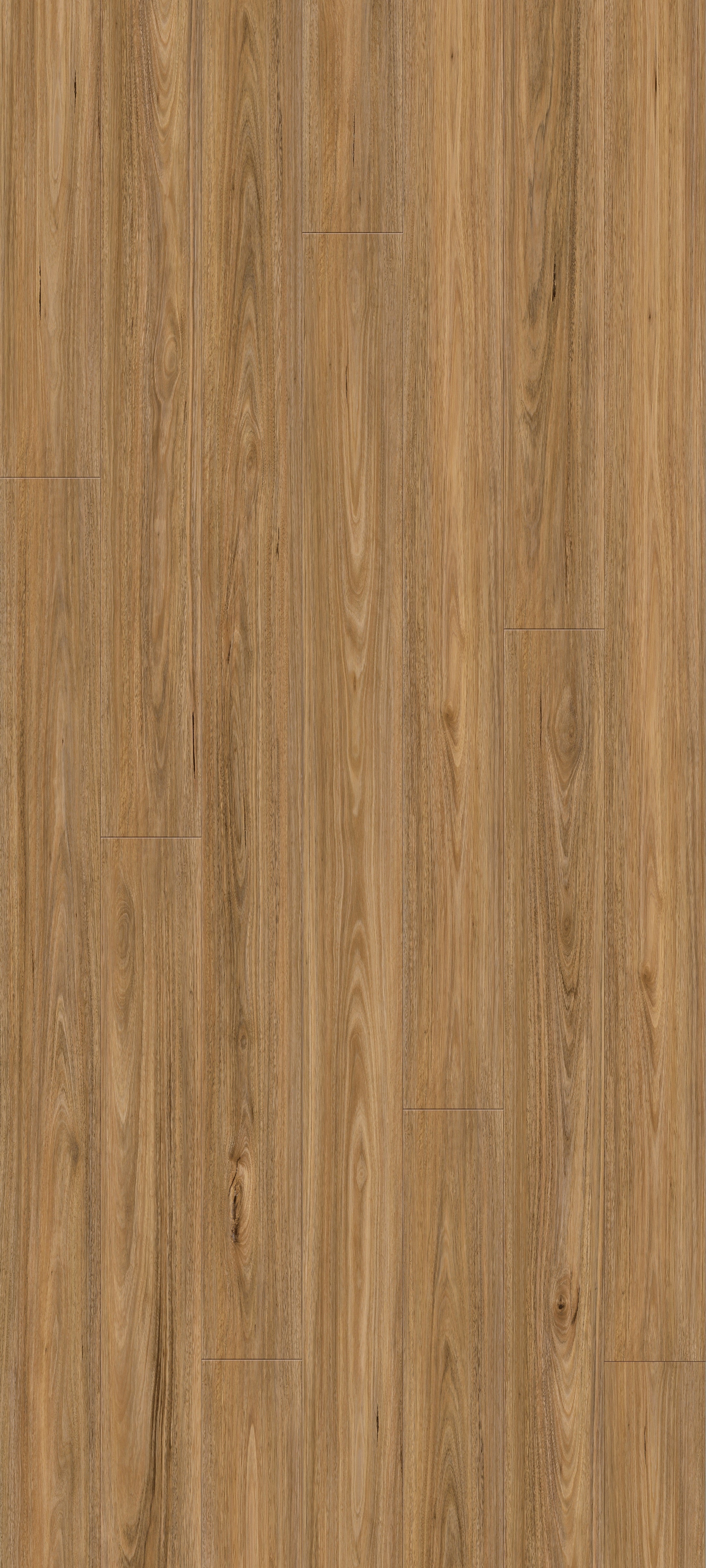 Armstrong Queenstown Spotted Gum