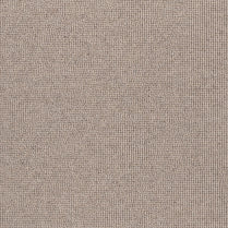 Lourve/ EC Carpet