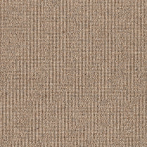 Lourve/ EC Carpet