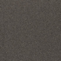 Lourve/ EC Carpet