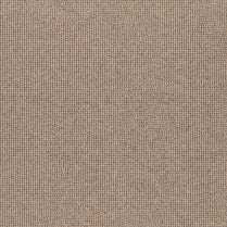 Lourve/ EC Carpet