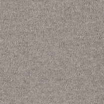 Lourve/ EC Carpet