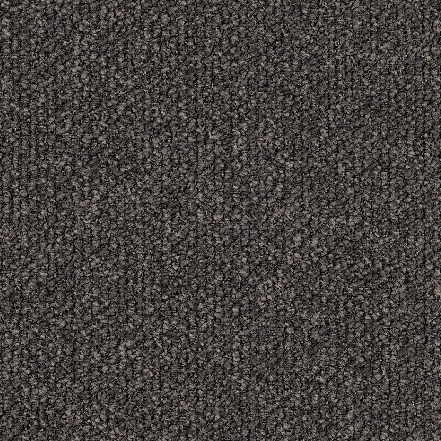 MONTROSA Avila — EC Carpets