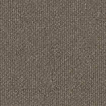MONTROSA/ EC Carpet