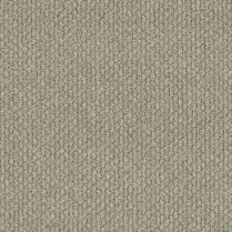 MONTROSA/ EC Carpet