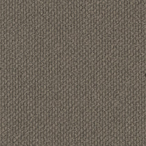 MONTROSA/ EC Carpet
