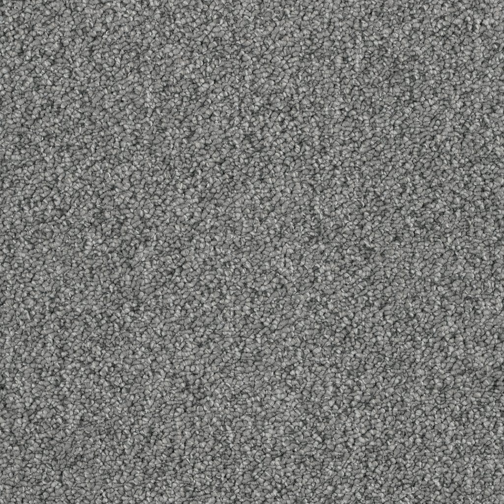 Banigan/EC Carpet
