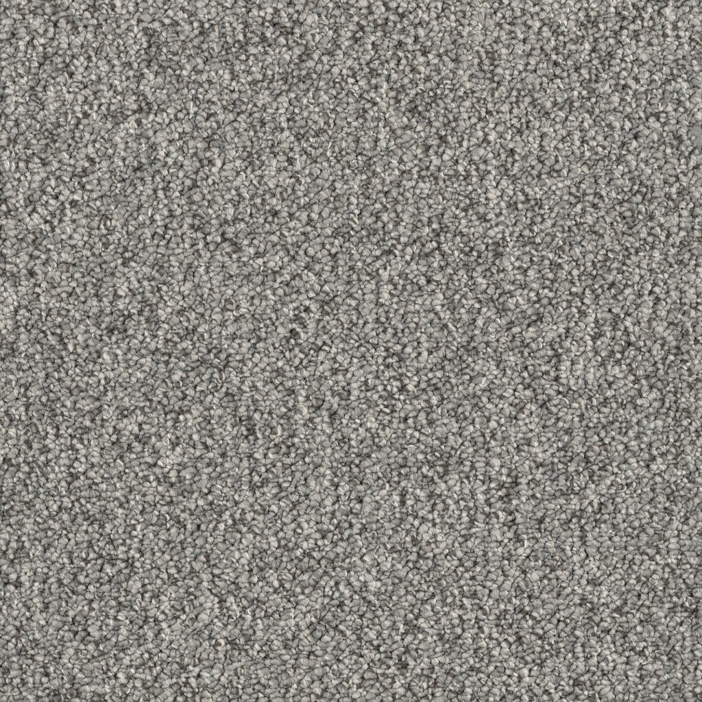 Banigan/EC Carpet