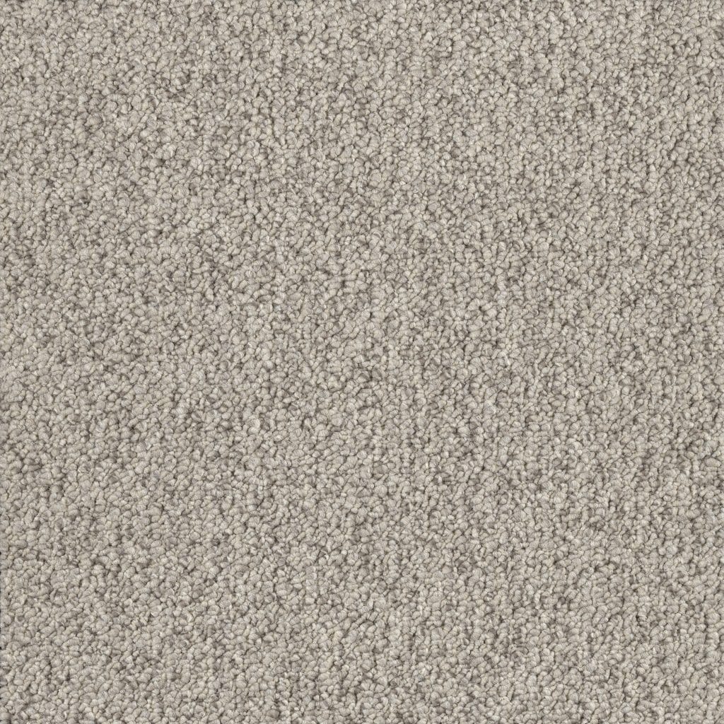 Banigan/EC Carpet
