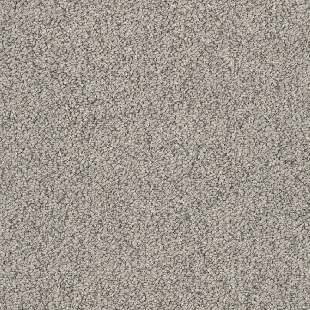 Banigan/EC Carpet