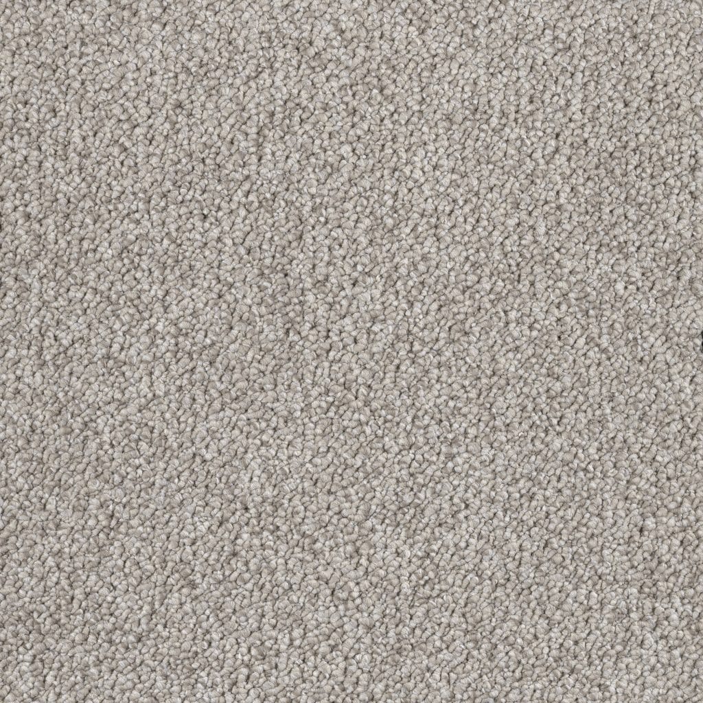 Banigan/EC Carpet