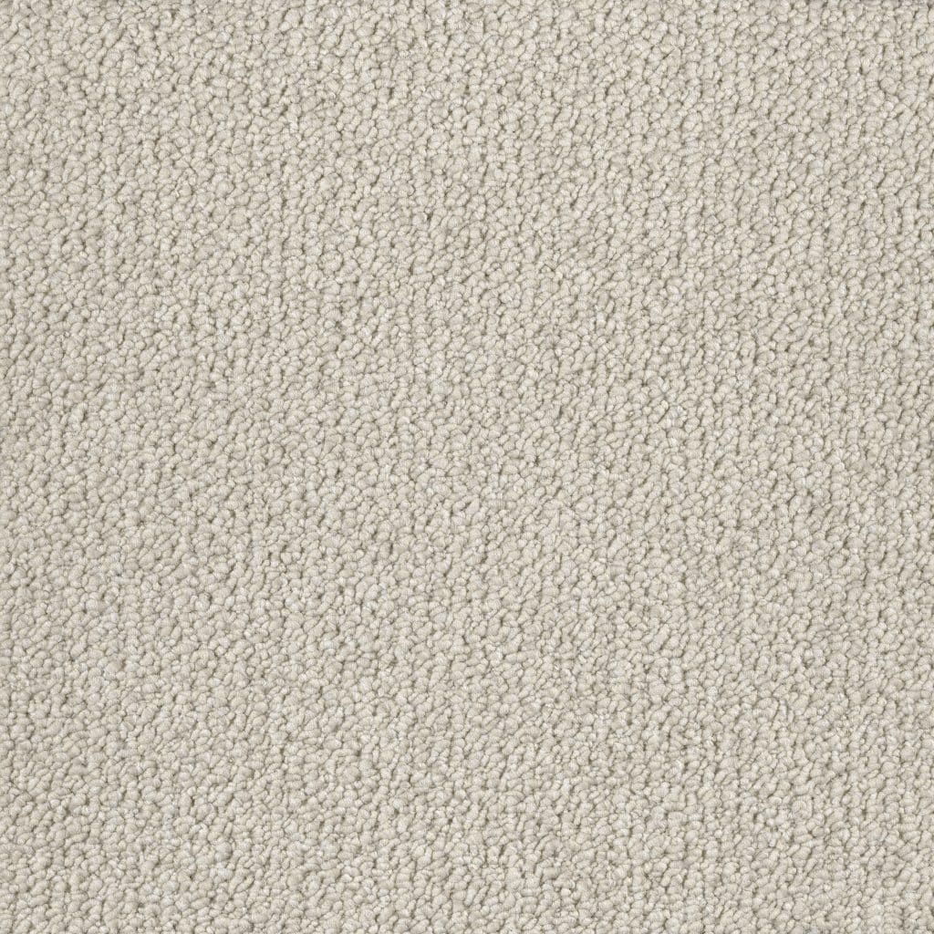 Banigan/EC Carpet