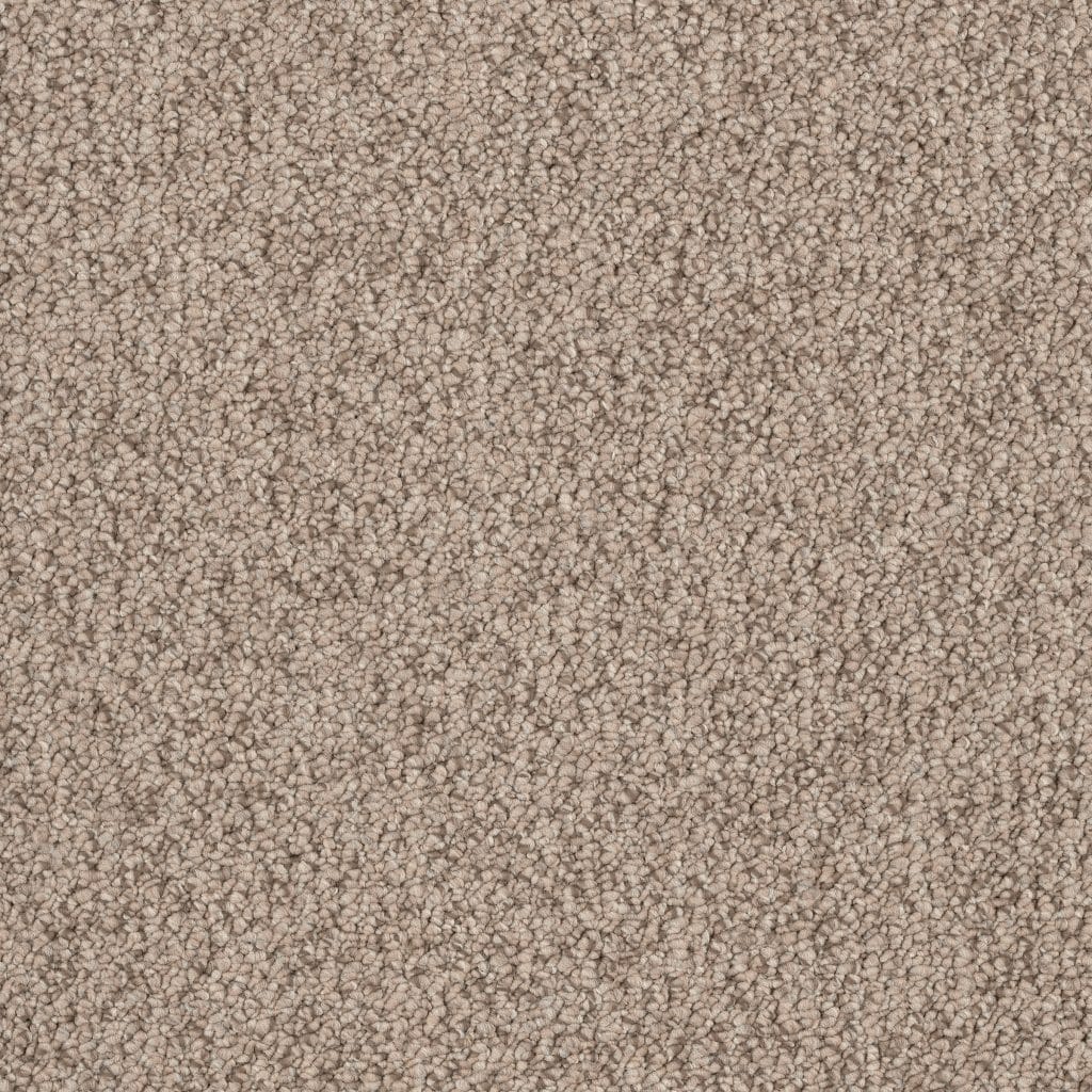 Banigan/EC Carpet
