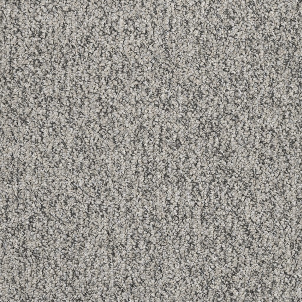 Banigan/EC Carpet