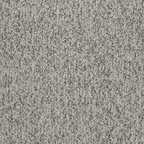Banigan/EC Carpet