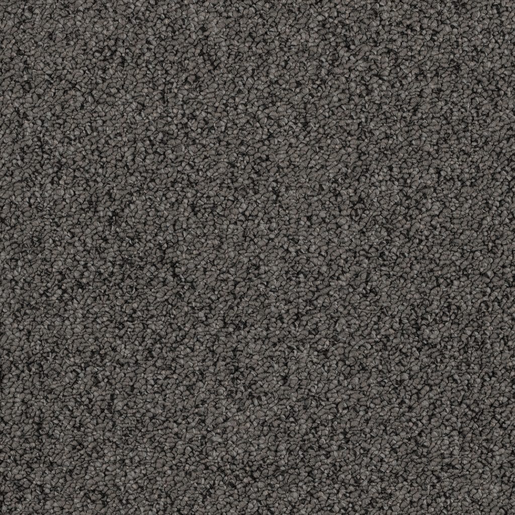 Banigan/EC Carpet