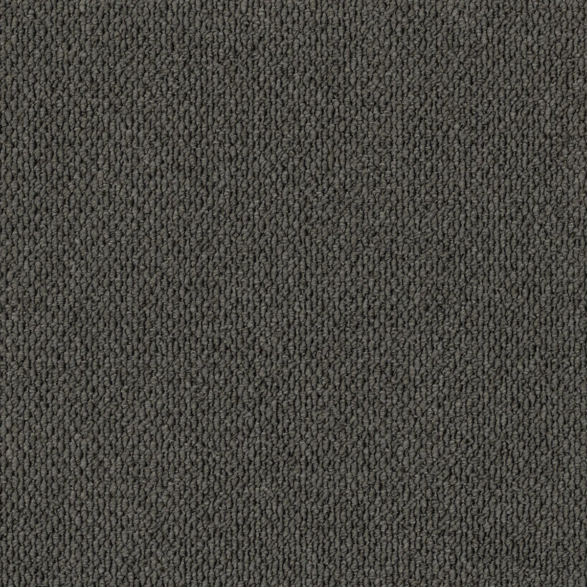 Summit Point/ EC Carpet