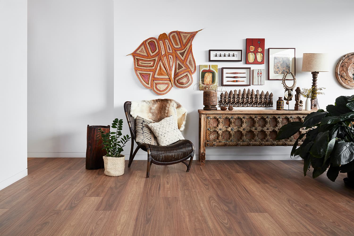 Spotted Gum