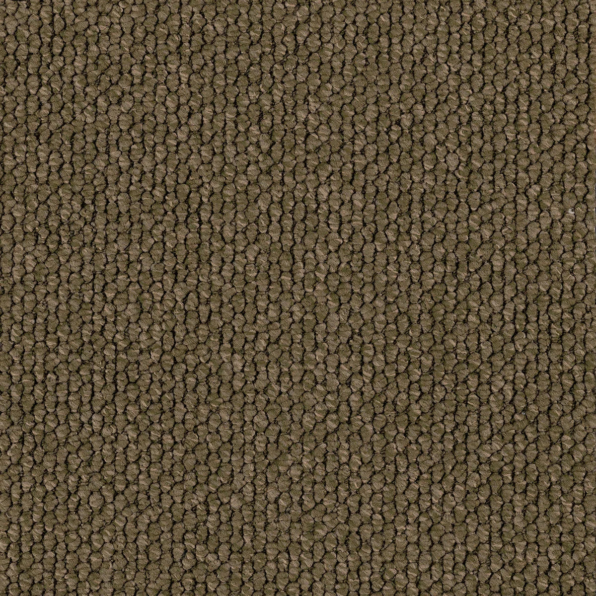 Flinder Gorge/EC Carpet