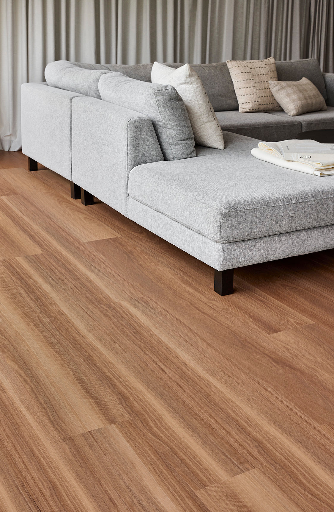 Coastal Spotted Gum