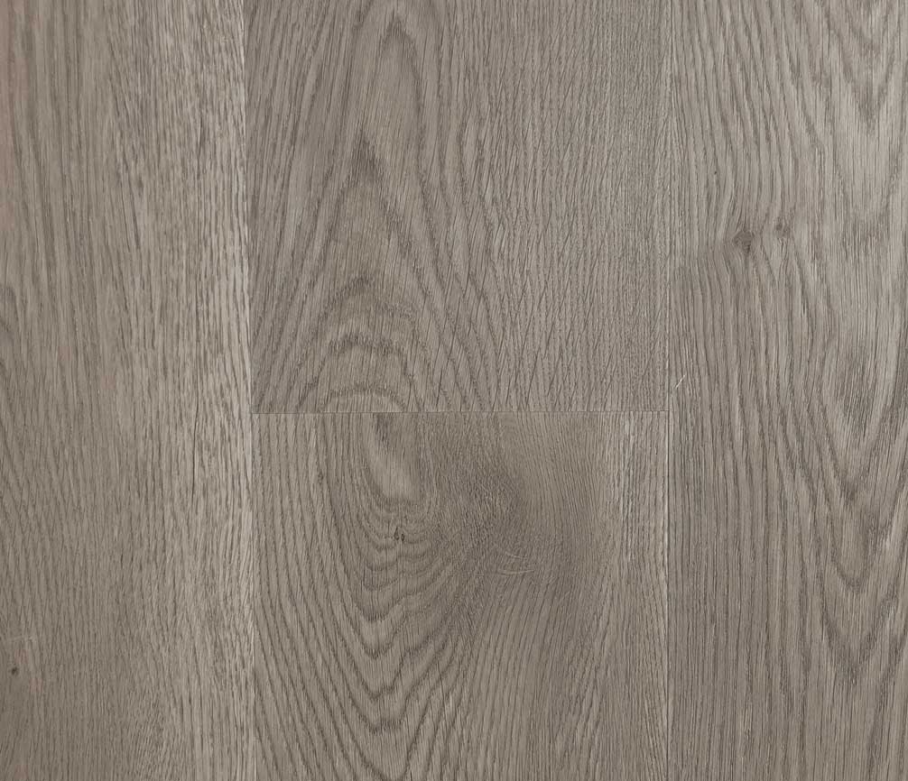 V502 Seashell