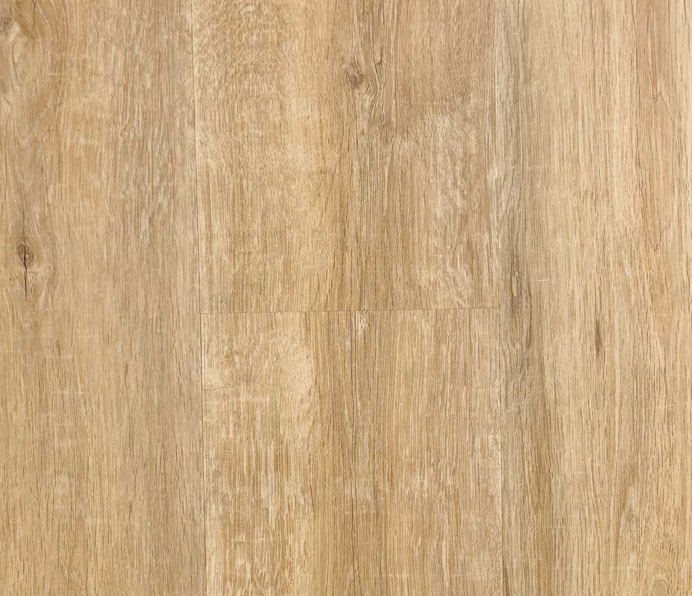 V505 Mosba