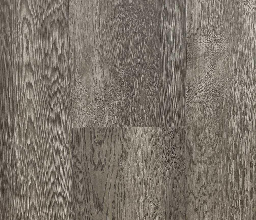 V506 Lapis