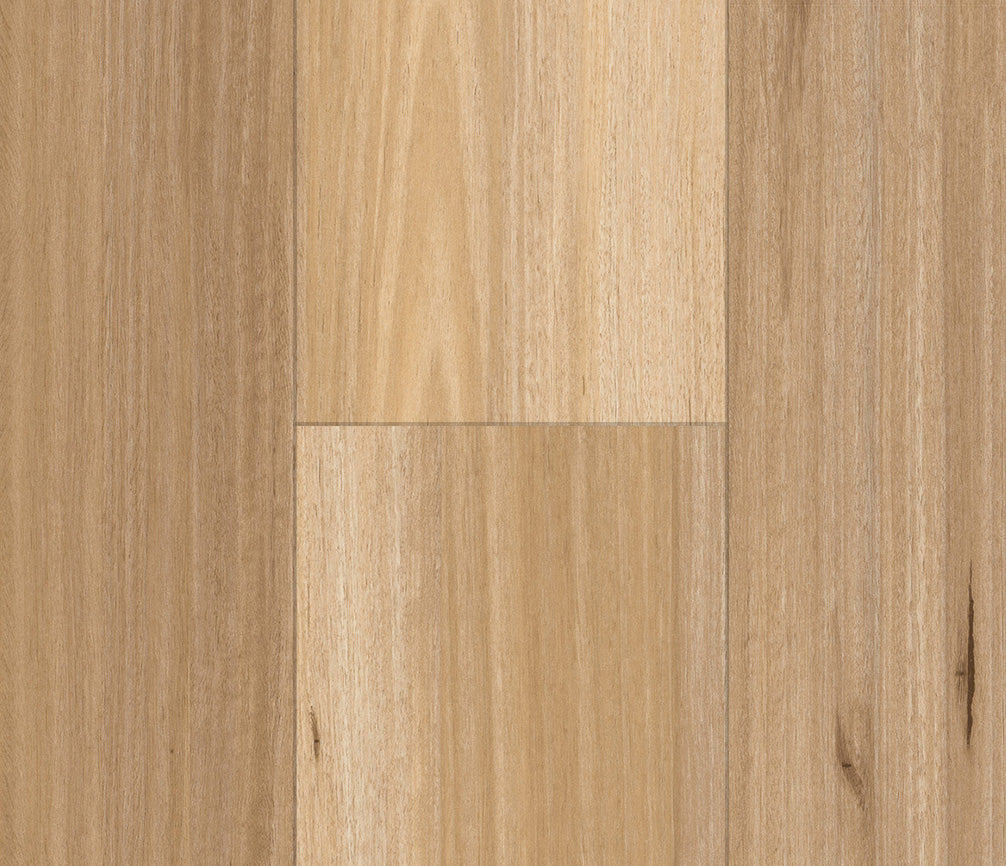 V510 Blackbutt